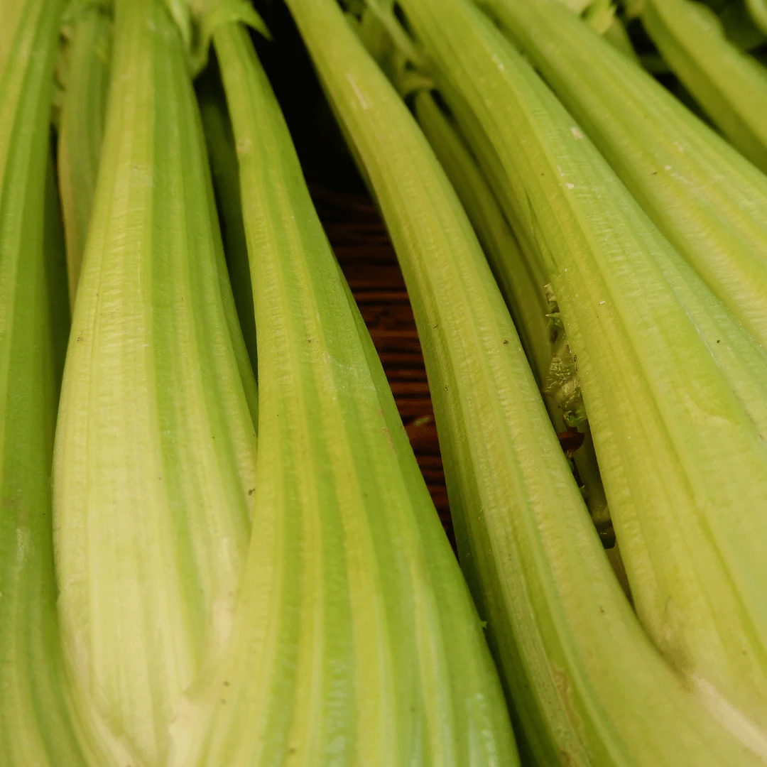 Celery 'Tall Utah' - Image 3