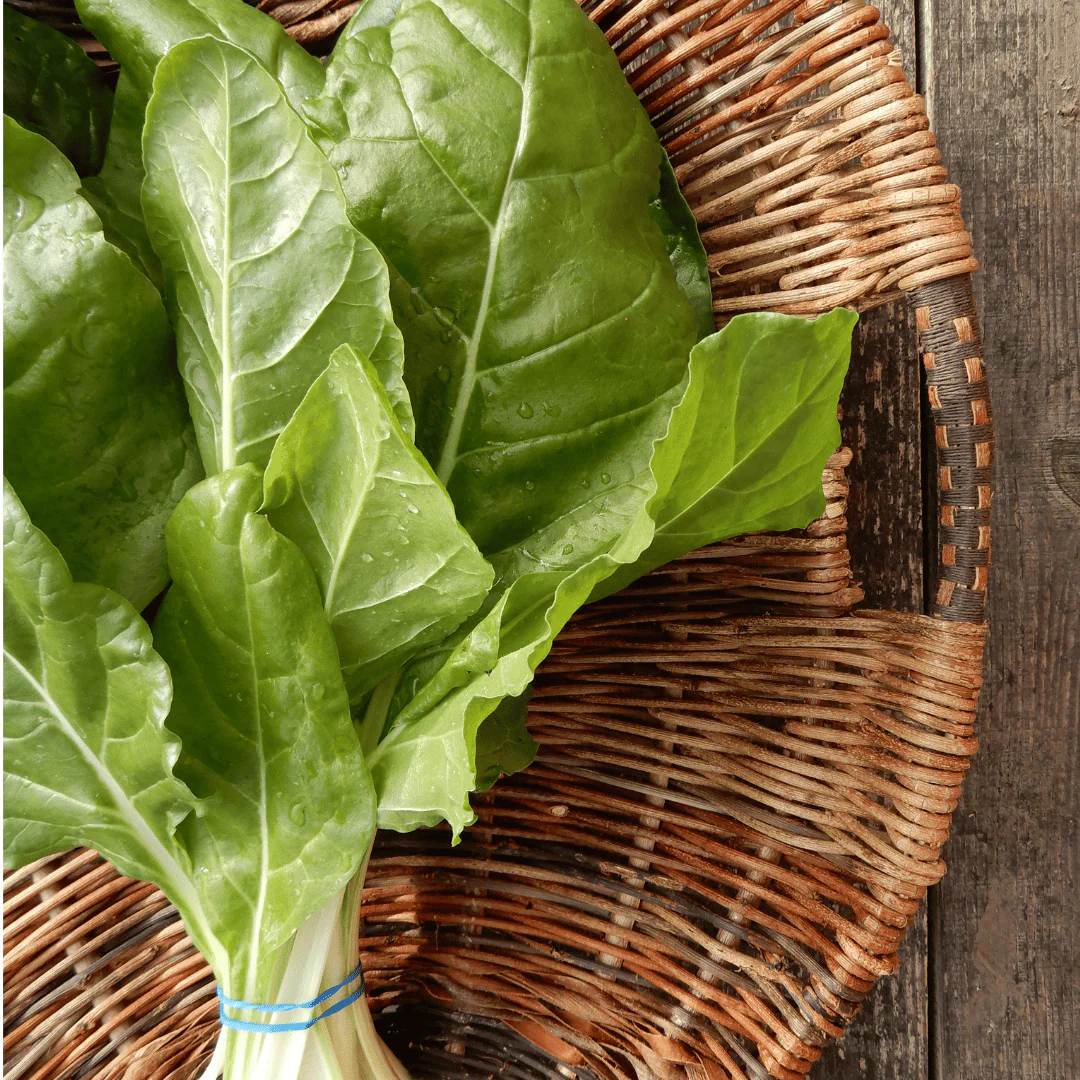 Chard 'Swiss Chard' - Image 2