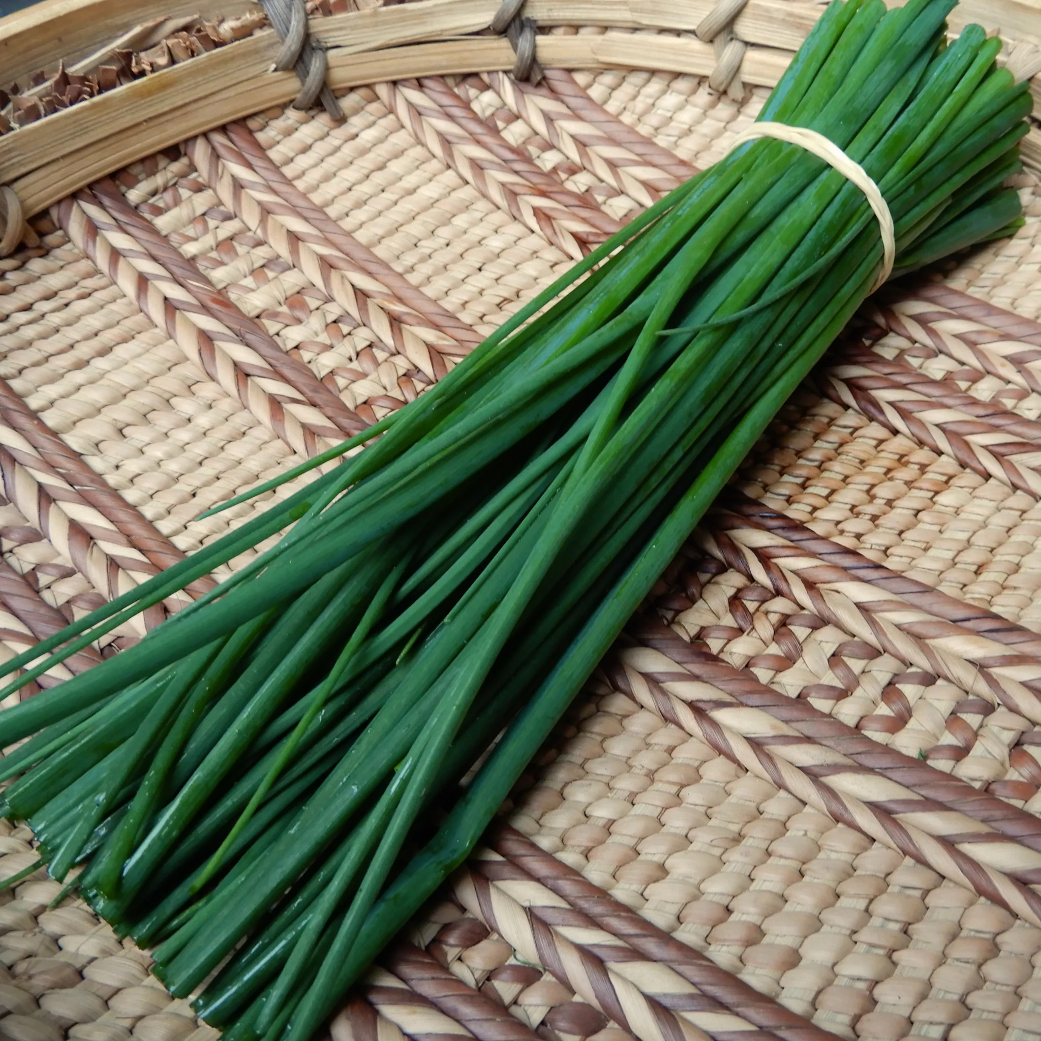 Chives - Image 2