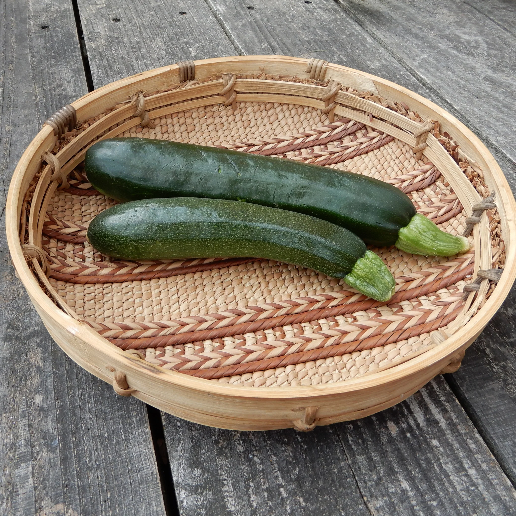 Courgette 'Dark Star'