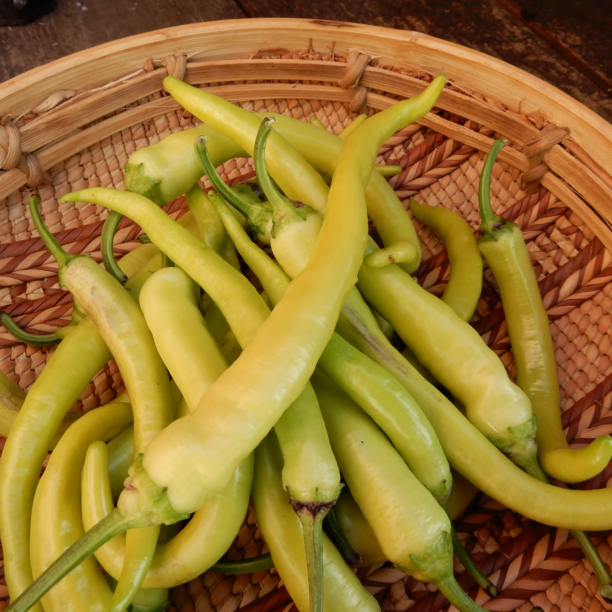 Sweet Pepper 'Turkish Delight' - Image 3