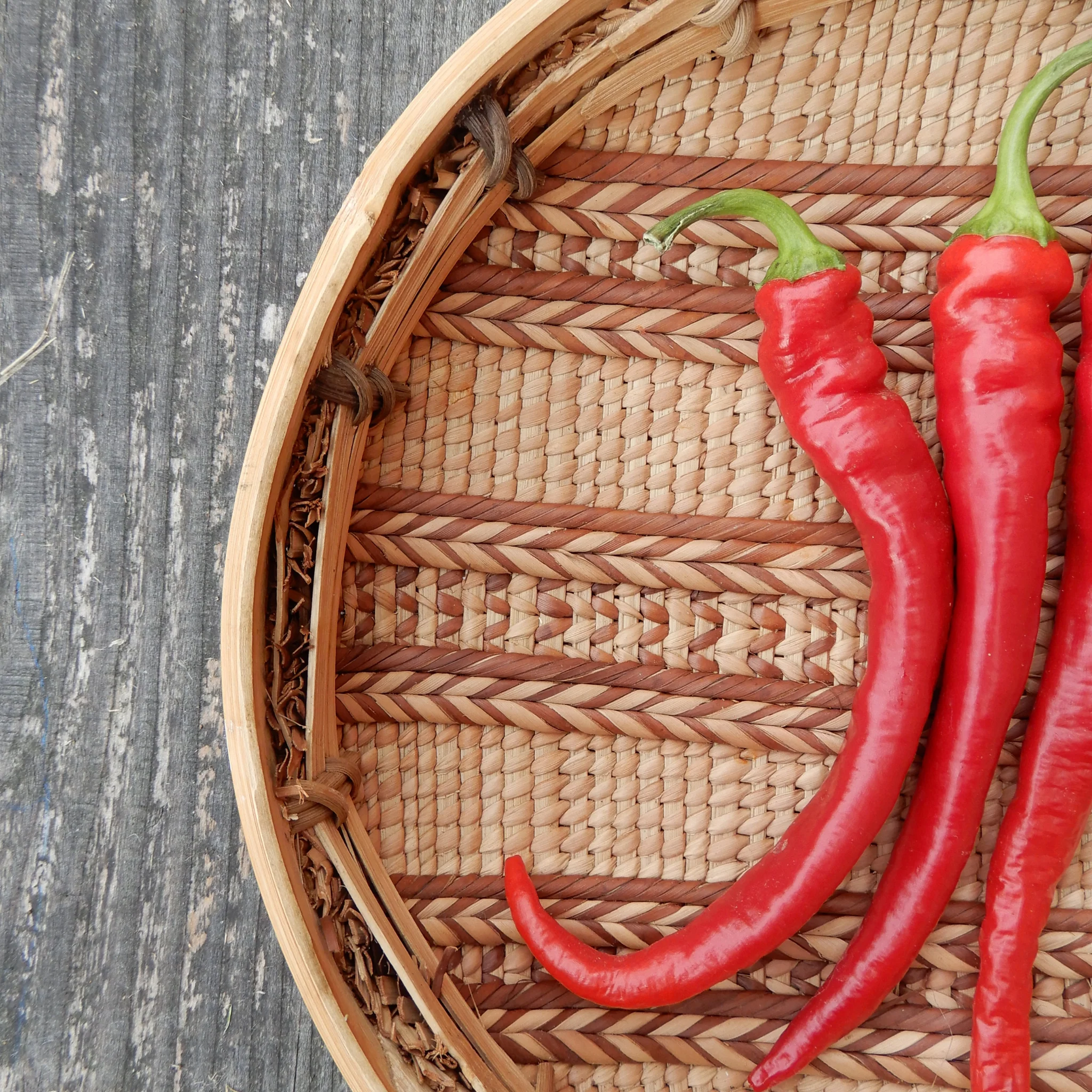 Sweet Pepper 'Turkish Delight' - Image 5