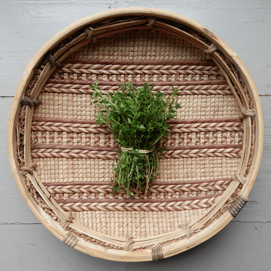 Thyme - Image 2